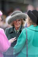 The Cheltenham Festival - Day Two in Cheltenham, UK.