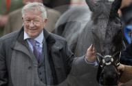 Cheltenham racing festival 2024 day three at Cheltenham Racecourse in Cheltenham , Gloucestershire, UK.