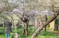 Sunnier spring weather with rain for London, UK.