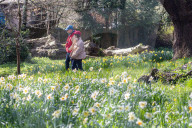 Sunnier spring weather with rain for London, UK.