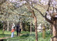 Sunnier spring weather with rain for London, UK.