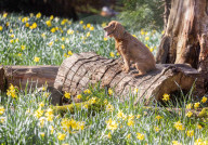 Sunnier spring weather with rain for London, UK.
