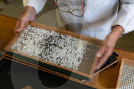 Risotto crisis: the fight to save Italy's beloved dish from extinction.