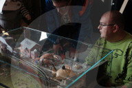 ‘We want to talk about ideas’: how Margate’s Crab Museum is trying to get people to think differently
