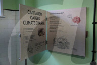 ‘We want to talk about ideas’: how Margate’s Crab Museum is trying to get people to think differently