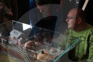 ‘We want to talk about ideas’: how Margate’s Crab Museum is trying to get people to think differently