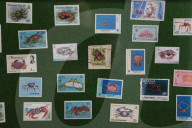 ‘We want to talk about ideas’: how Margate’s Crab Museum is trying to get people to think differently