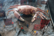 ‘We want to talk about ideas’: how Margate’s Crab Museum is trying to get people to think differently