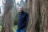 Hidden giants: how the UK's 500,000 redwoods put California in the shade