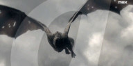 Trailer for second series of House of the Dragon