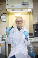 Andrew Cunningham: I discovered why seemingly healthy amphibians were being wiped out.