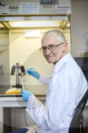Andrew Cunningham: I discovered why seemingly healthy amphibians were being wiped out.