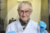 Andrew Cunningham: I discovered why seemingly healthy amphibians were being wiped out.