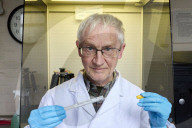 Andrew Cunningham: I discovered why seemingly healthy amphibians were being wiped out.