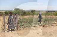 'We don't know where the money is going': the 'carbon cowboys' making millions from credit schemes.
Kariba project in Zimbabwe.