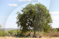 'We don't know where the money is going': the 'carbon cowboys' making millions from credit schemes.
Kariba project in Zimbabwe.