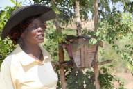 'We don't know where the money is going': the 'carbon cowboys' making millions from credit schemes.
Kariba project in Zimbabwe.