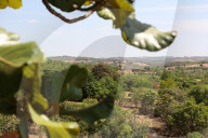 'We don't know where the money is going': the 'carbon cowboys' making millions from credit schemes.
Kariba project in Zimbabwe.