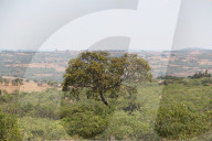 'We don't know where the money is going': the 'carbon cowboys' making millions from credit schemes.
Kariba project in Zimbabwe.