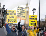 British farmers drove tractors to the Houses of Parliament, Westminster, London, UK.