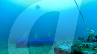 Ocean floor wine and spirits cellar