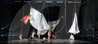 Sydney Dance Company’s ‘Ascent ‘ a mixed programme at the Linbury Theatre. Royal Opera House, Covent Garden, London, Great Britain