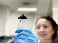Silicon spiked surface that tears apart virsuses is developed