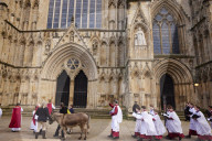 Donkeys lead the clergy and choir in procession into York Minster for the Palm Sunday Eucharist