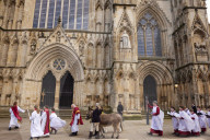 Donkeys lead the clergy and choir in procession into York Minster for the Palm Sunday Eucharist