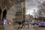 Donkeys lead the clergy and choir in procession into York Minster for the Palm Sunday Eucharist