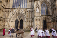 Donkeys lead the clergy and choir in procession into York Minster for the Palm Sunday Eucharist