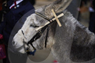 Donkeys lead the clergy and choir in procession into York Minster for the Palm Sunday Eucharist