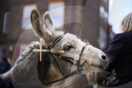 Donkeys lead the clergy and choir in procession into York Minster for the Palm Sunday Eucharist