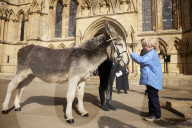 Donkeys lead the clergy and choir in procession into York Minster for the Palm Sunday Eucharist