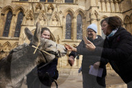 Donkeys lead the clergy and choir in procession into York Minster for the Palm Sunday Eucharist