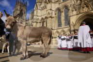 Donkeys lead the clergy and choir in procession into York Minster for the Palm Sunday Eucharist