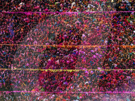 FEATURE -Tausende von Menschen sehen aus wie bunte Ameisen am Holi-Frühlingsfest