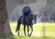 ROYALS - Prinz Andrew, Herzog von York, macht einen Ausritt in Windsor