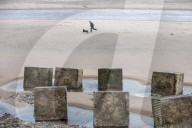 Climate crisis threatens to sink historic north-east golf club.
Alnmouth village golf club.