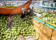 FEATURE - Wassermelonenbauern laden die Früchte ihrer Arbeit von ihren Booten ab