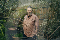 Ciarán Hinds