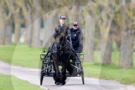 Sophie kutschiert mit dem Einspänner durch den Schlosspark auf Windsor