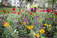 Embankment Gardens spring flower beds as Londoners enjoy the first sunshine of the year, London, Great Britain 
8th April 2024 

Warm weather sunshine brings out more people to enjoy the flower beds in Embankment Gardens London.