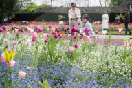 Embankment Gardens spring flower beds as Londoners enjoy the first sunshine of the year, London, Great Britain 
8th April 2024 

Warm weather sunshine brings out more people to enjoy the flower beds in Embankment Gardens London.