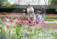 Embankment Gardens spring flower beds as Londoners enjoy the first sunshine of the year, London, Great Britain 
8th April 2024 

Warm weather sunshine brings out more people to enjoy the flower beds in Embankment Gardens London.