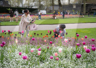 Embankment Gardens spring flower beds as Londoners enjoy the first sunshine of the year, London, Great Britain 
8th April 2024 

Warm weather sunshine brings out more people to enjoy the flower beds in Embankment Gardens London.