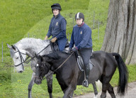 Royals at Windsor