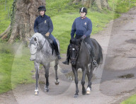 Royals at Windsor
