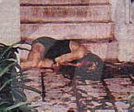 OJ Simpson Murder Trial Evidence