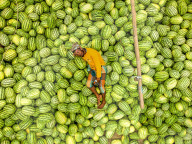 FEATURE - Arbeiter sind von Hunderten von Wassermelonen umgeben 